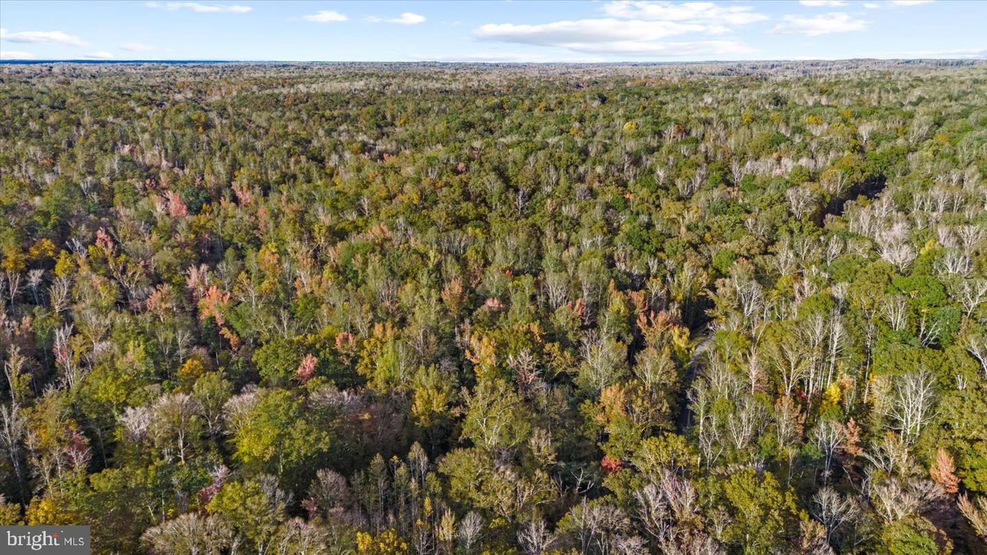 0 HOLLY CORNER ROAD, FALMOUTH, Virginia 22406, ,Land,For sale,0 HOLLY CORNER ROAD,VAST2043660 MLS # VAST2043660 0 HOLLY CORNER ROAD, FALMOUTH, Virginia 22406, ,Land,For sale,0 HOLLY CORNER ROAD,VAST2043660 MLS # VAST2043660