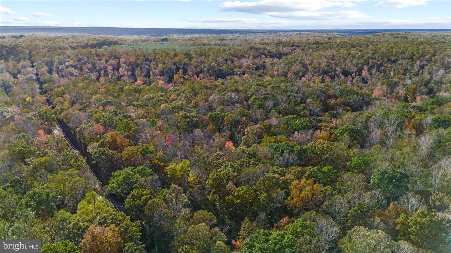 0 HOLLY CORNER ROAD, FALMOUTH, Virginia 22406, ,Land,For sale,0 HOLLY CORNER ROAD,VAST2043660 MLS # VAST2043660 0 HOLLY CORNER ROAD, FALMOUTH, Virginia 22406, ,Land,For sale,0 HOLLY CORNER ROAD,VAST2043660 MLS # VAST2043660