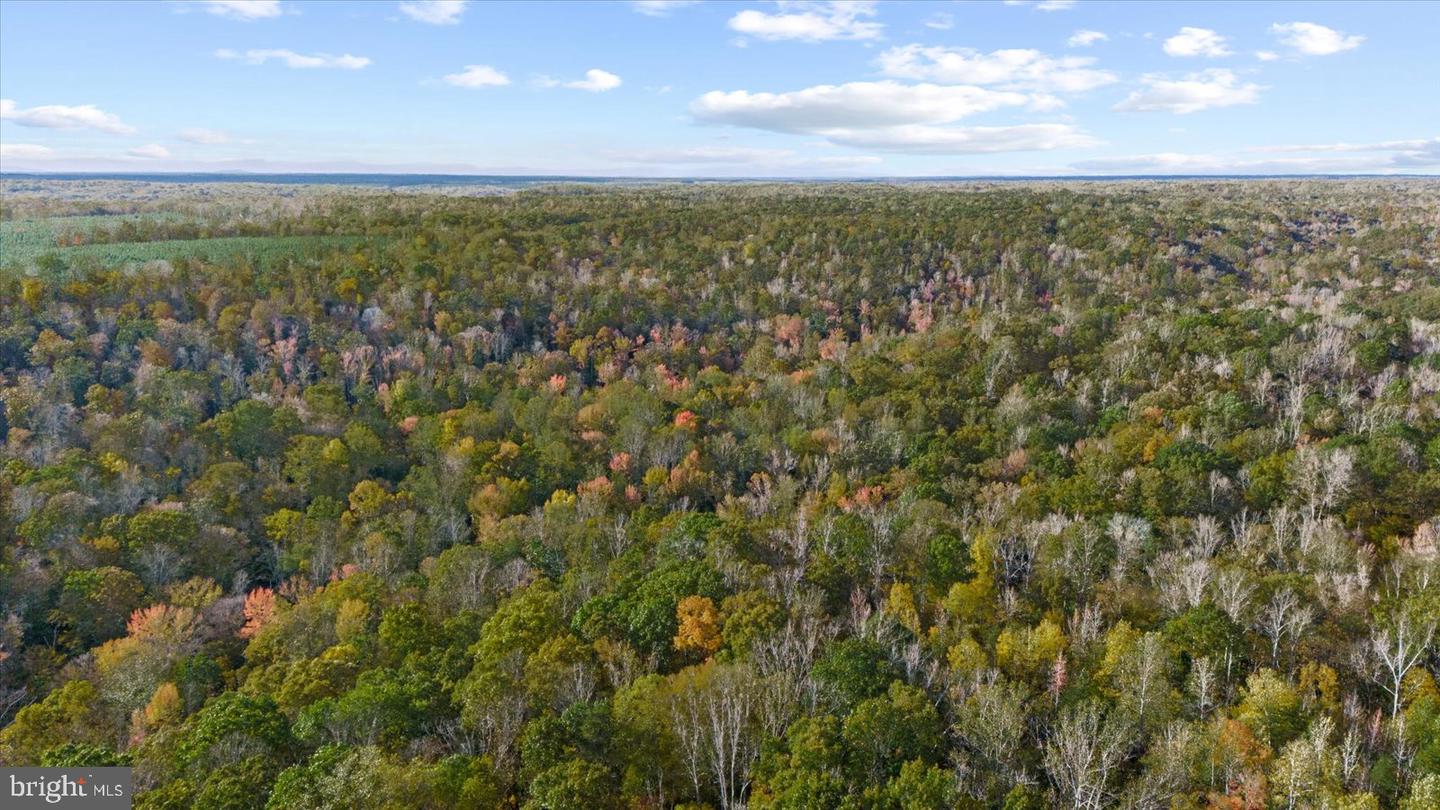 0 HOLLY CORNER ROAD, FALMOUTH, Virginia 22406, ,Land,For sale,0 HOLLY CORNER ROAD,VAST2043660 MLS # VAST2043660 0 HOLLY CORNER ROAD, FALMOUTH, Virginia 22406, ,Land,For sale,0 HOLLY CORNER ROAD,VAST2043660 MLS # VAST2043660