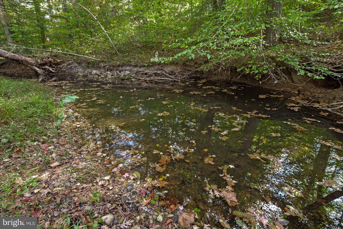 0 HOLLY CORNER ROAD, FALMOUTH, Virginia 22406, ,Land,For sale,0 HOLLY CORNER ROAD,VAST2043660 MLS # VAST2043660 0 HOLLY CORNER ROAD, FALMOUTH, Virginia 22406, ,Land,For sale,0 HOLLY CORNER ROAD,VAST2043660 MLS # VAST2043660