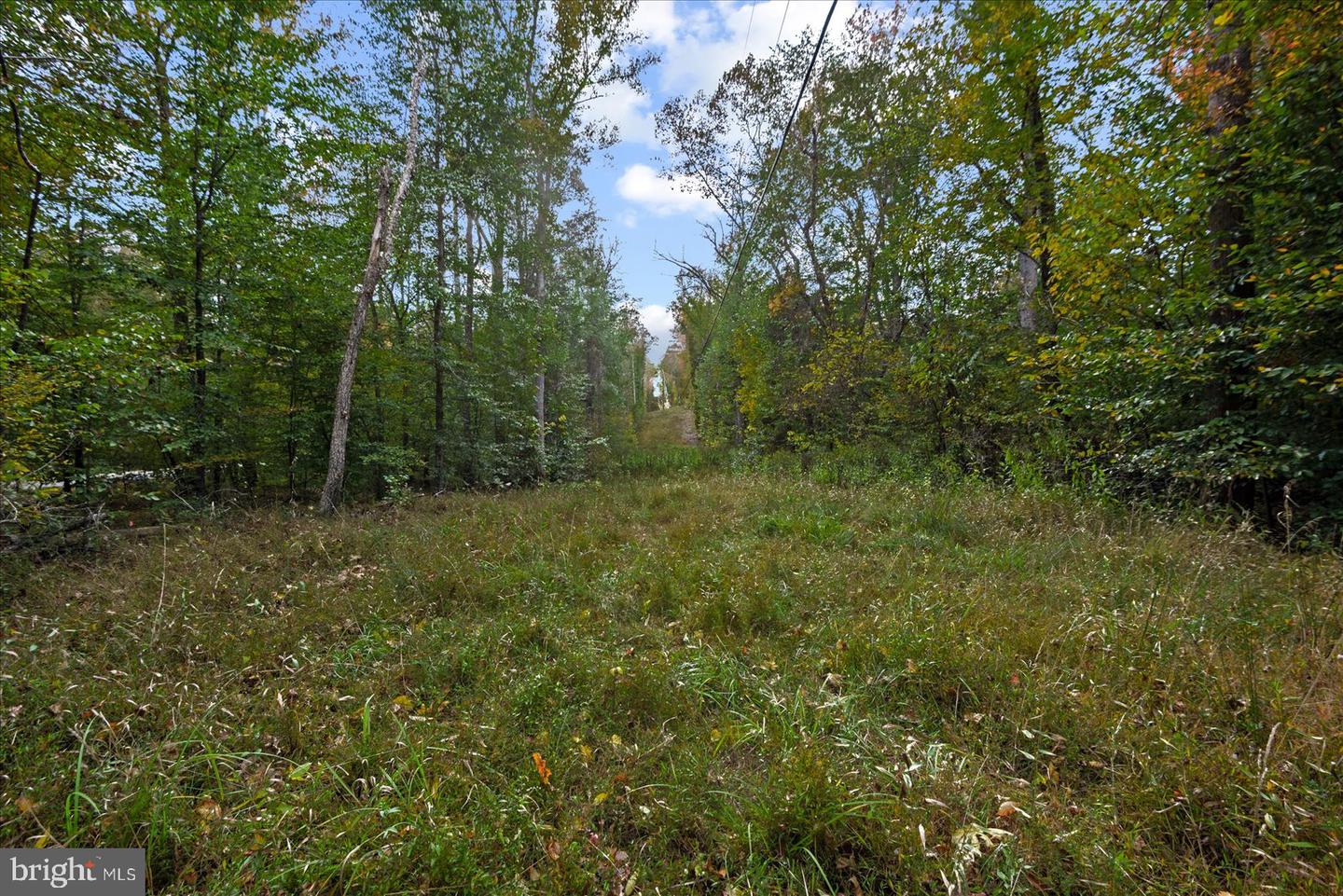 0 HOLLY CORNER ROAD, FALMOUTH, Virginia 22406, ,Land,For sale,0 HOLLY CORNER ROAD,VAST2043660 MLS # VAST2043660 0 HOLLY CORNER ROAD, FALMOUTH, Virginia 22406, ,Land,For sale,0 HOLLY CORNER ROAD,VAST2043660 MLS # VAST2043660