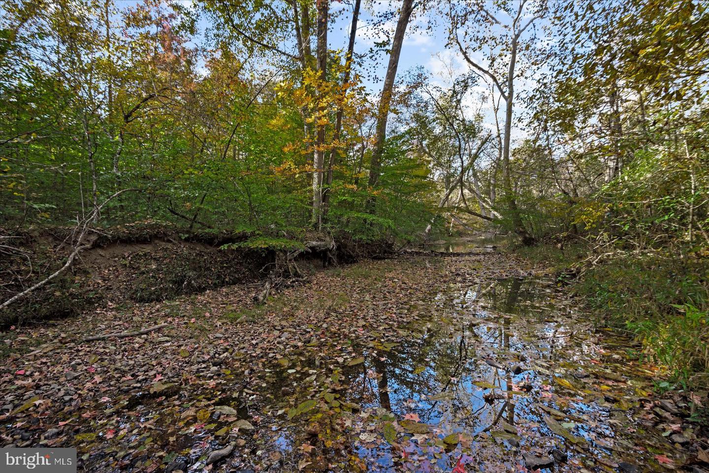 0 HOLLY CORNER ROAD, FALMOUTH, Virginia 22406, ,Land,For sale,0 HOLLY CORNER ROAD,VAST2043660 MLS # VAST2043660 0 HOLLY CORNER ROAD, FALMOUTH, Virginia 22406, ,Land,For sale,0 HOLLY CORNER ROAD,VAST2043660 MLS # VAST2043660