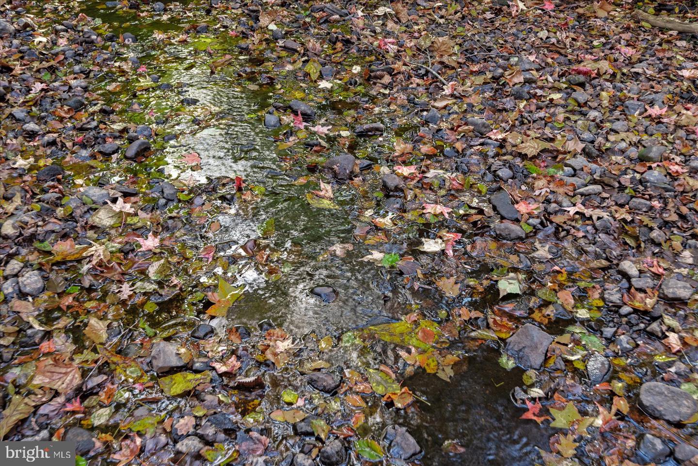 0 HOLLY CORNER ROAD, FALMOUTH, Virginia 22406, ,Land,For sale,0 HOLLY CORNER ROAD,VAST2043660 MLS # VAST2043660 0 HOLLY CORNER ROAD, FALMOUTH, Virginia 22406, ,Land,For sale,0 HOLLY CORNER ROAD,VAST2043660 MLS # VAST2043660