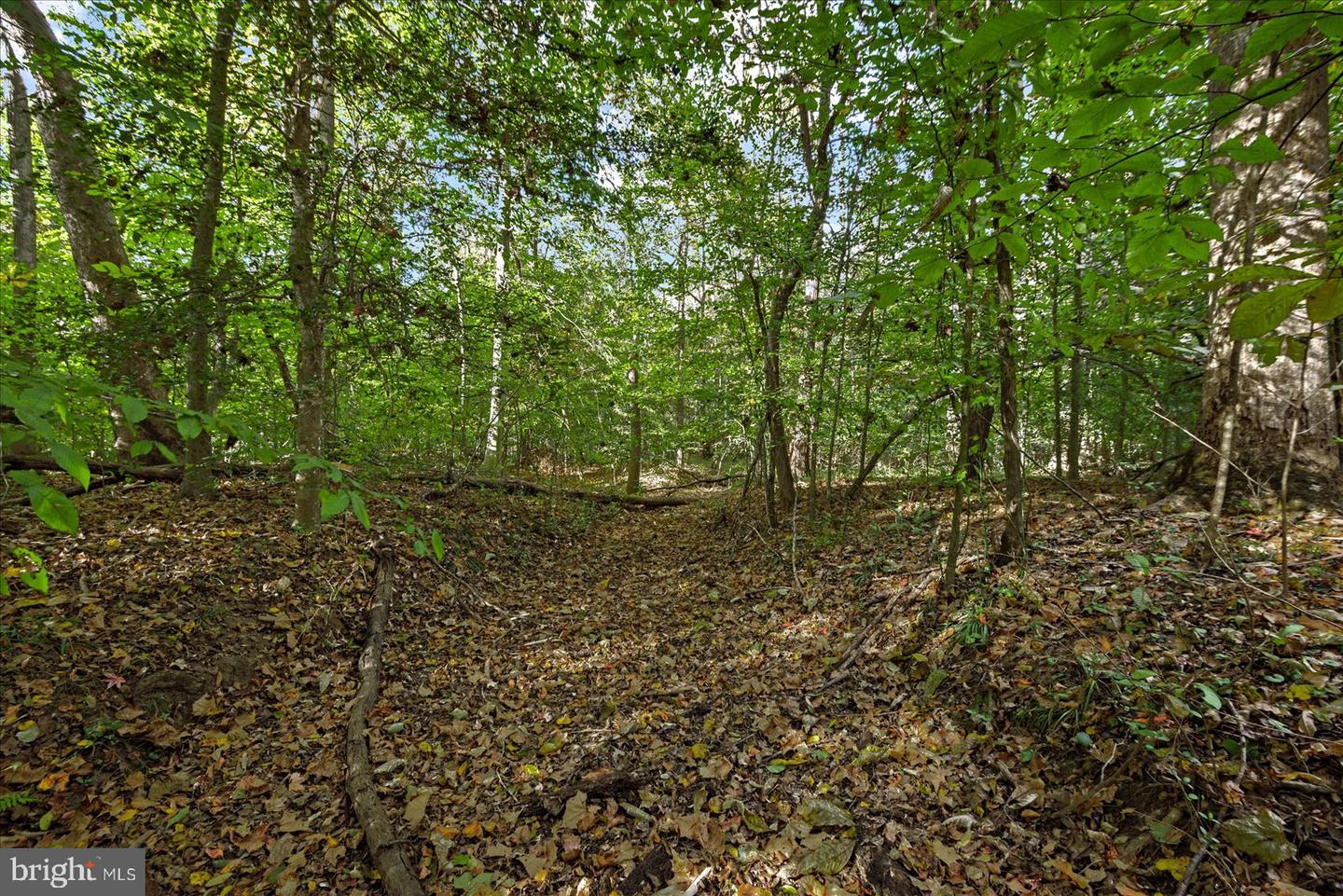 0 HOLLY CORNER ROAD, FALMOUTH, Virginia 22406, ,Land,For sale,0 HOLLY CORNER ROAD,VAST2043660 MLS # VAST2043660 0 HOLLY CORNER ROAD, FALMOUTH, Virginia 22406, ,Land,For sale,0 HOLLY CORNER ROAD,VAST2043660 MLS # VAST2043660