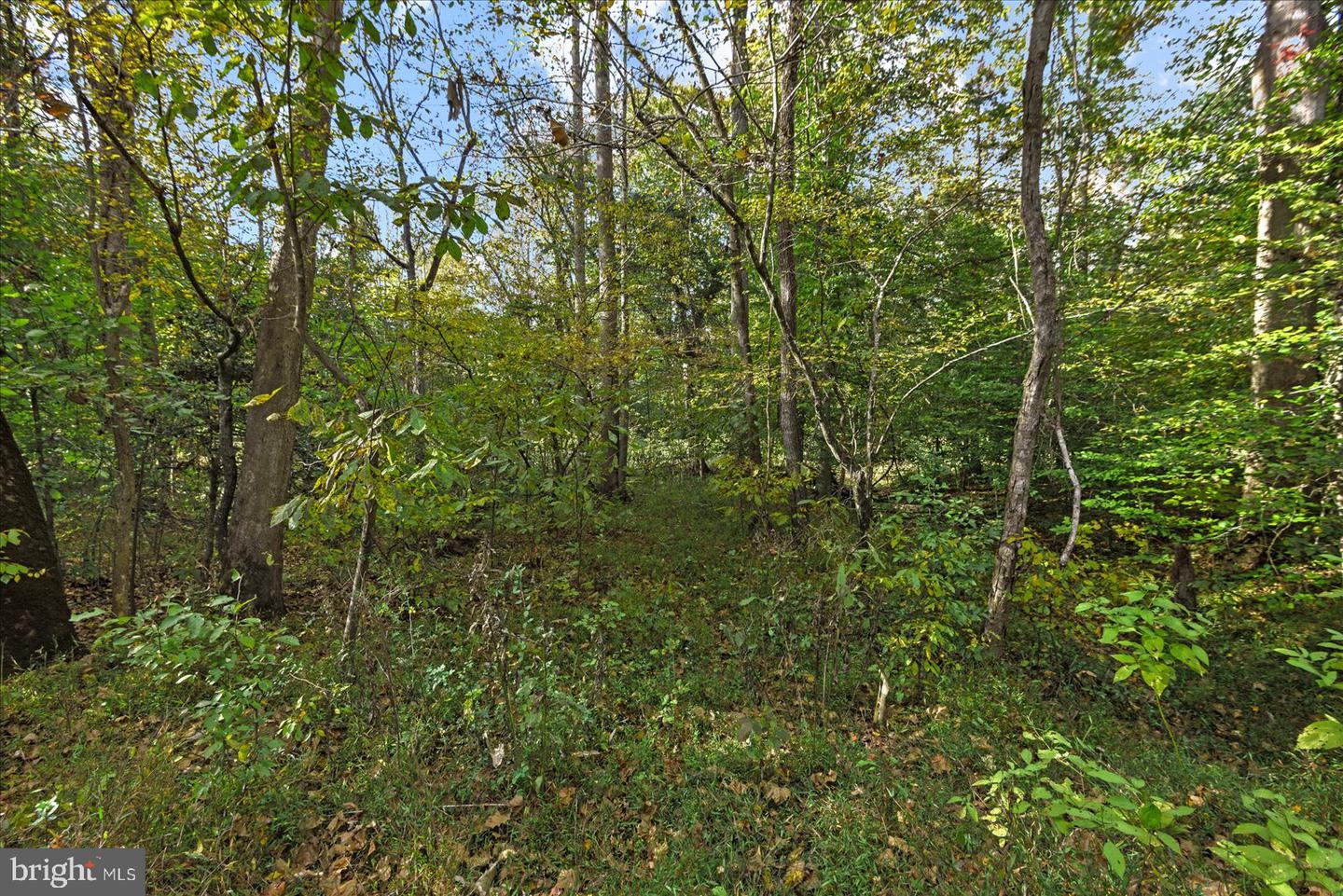 0 HOLLY CORNER ROAD, FALMOUTH, Virginia 22406, ,Land,For sale,0 HOLLY CORNER ROAD,VAST2043660 MLS # VAST2043660 0 HOLLY CORNER ROAD, FALMOUTH, Virginia 22406, ,Land,For sale,0 HOLLY CORNER ROAD,VAST2043660 MLS # VAST2043660