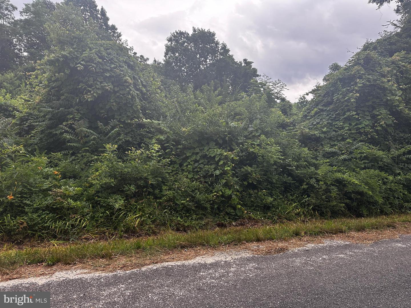 721 LEWIS LANE, HEATHSVILLE, Virginia 22473, ,Land,For sale,721 LEWIS LANE,VANV2001784 MLS # VANV2001784