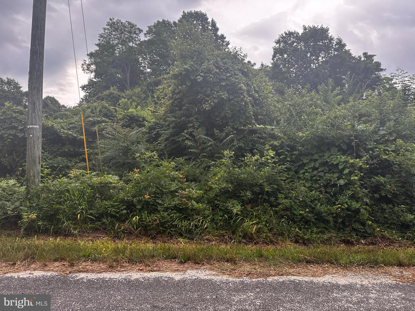 721 LEWIS LANE, HEATHSVILLE, Virginia 22473, ,Land,For sale,721 LEWIS LANE,VANV2001784 MLS # VANV2001784