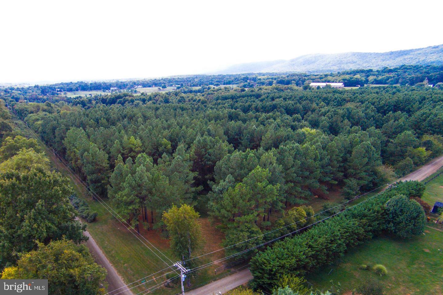 1590 LOUDOUN DR, HAYMARKET, Virginia 20169, ,Land,For sale,1590 LOUDOUN DR,VAPW2105684 MLS # VAPW2105684
