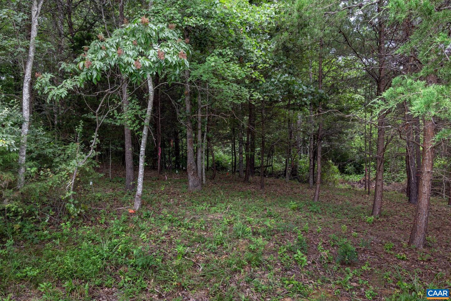 LOT 69 PALMER PL #69, RUCKERSVILLE, Virginia 22968, ,Land,For sale,LOT 69 PALMER PL #69,670252 MLS # 670252