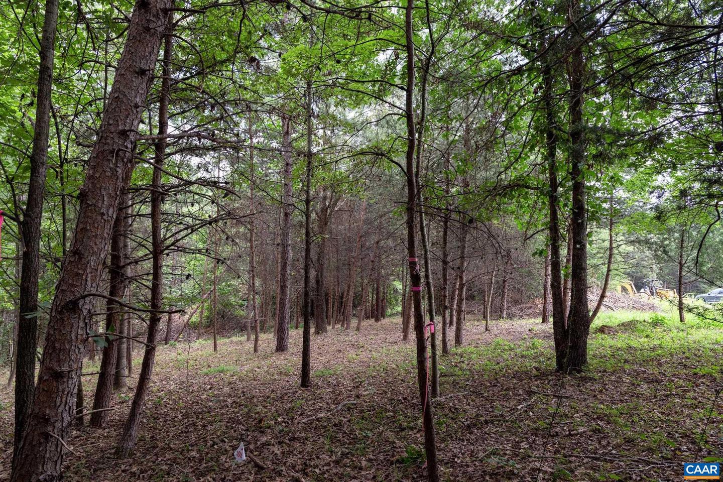 LOT 69 PALMER PL #69, RUCKERSVILLE, Virginia 22968, ,Land,For sale,LOT 69 PALMER PL #69,670252 MLS # 670252