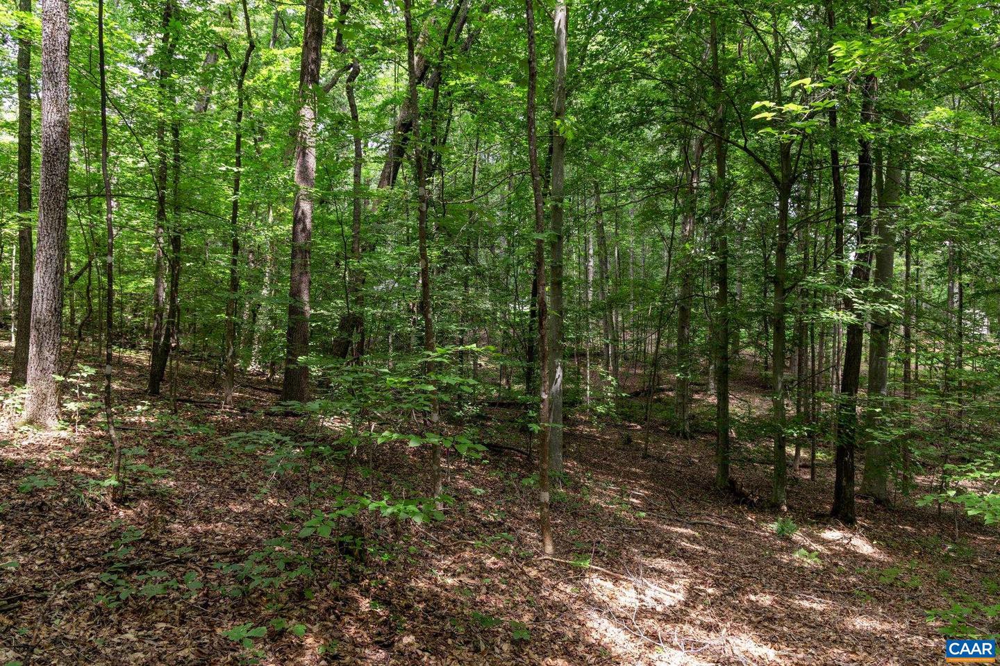 LOT 69 PALMER PL #69, RUCKERSVILLE, Virginia 22968, ,Land,For sale,LOT 69 PALMER PL #69,670252 MLS # 670252