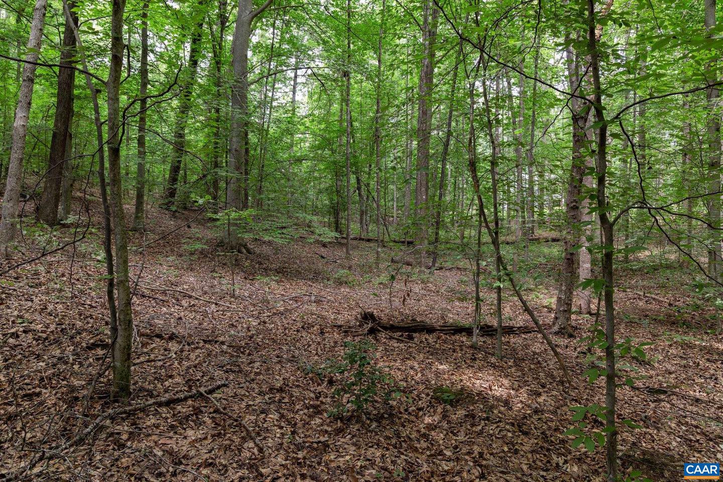 LOT 69 PALMER PL #69, RUCKERSVILLE, Virginia 22968, ,Land,For sale,LOT 69 PALMER PL #69,670252 MLS # 670252