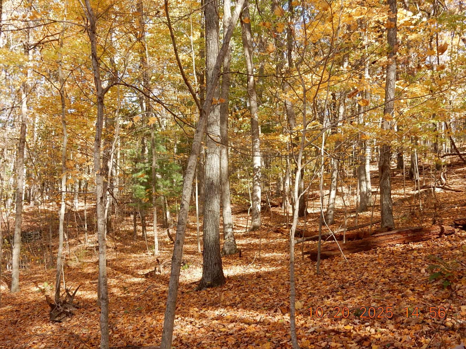 47 QUARRY HILL RD, HOT SPRINGS, Virginia 24445, ,Land,47 QUARRY HILL RD,670277 MLS # 670277