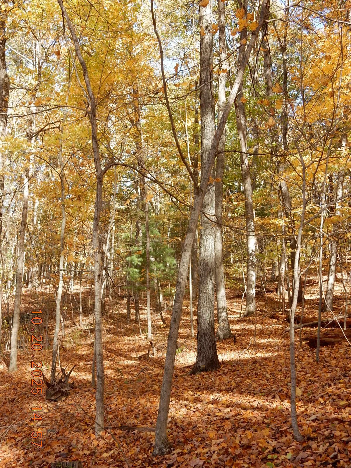 47 QUARRY HILL RD, HOT SPRINGS, Virginia 24445, ,Land,47 QUARRY HILL RD,670277 MLS # 670277