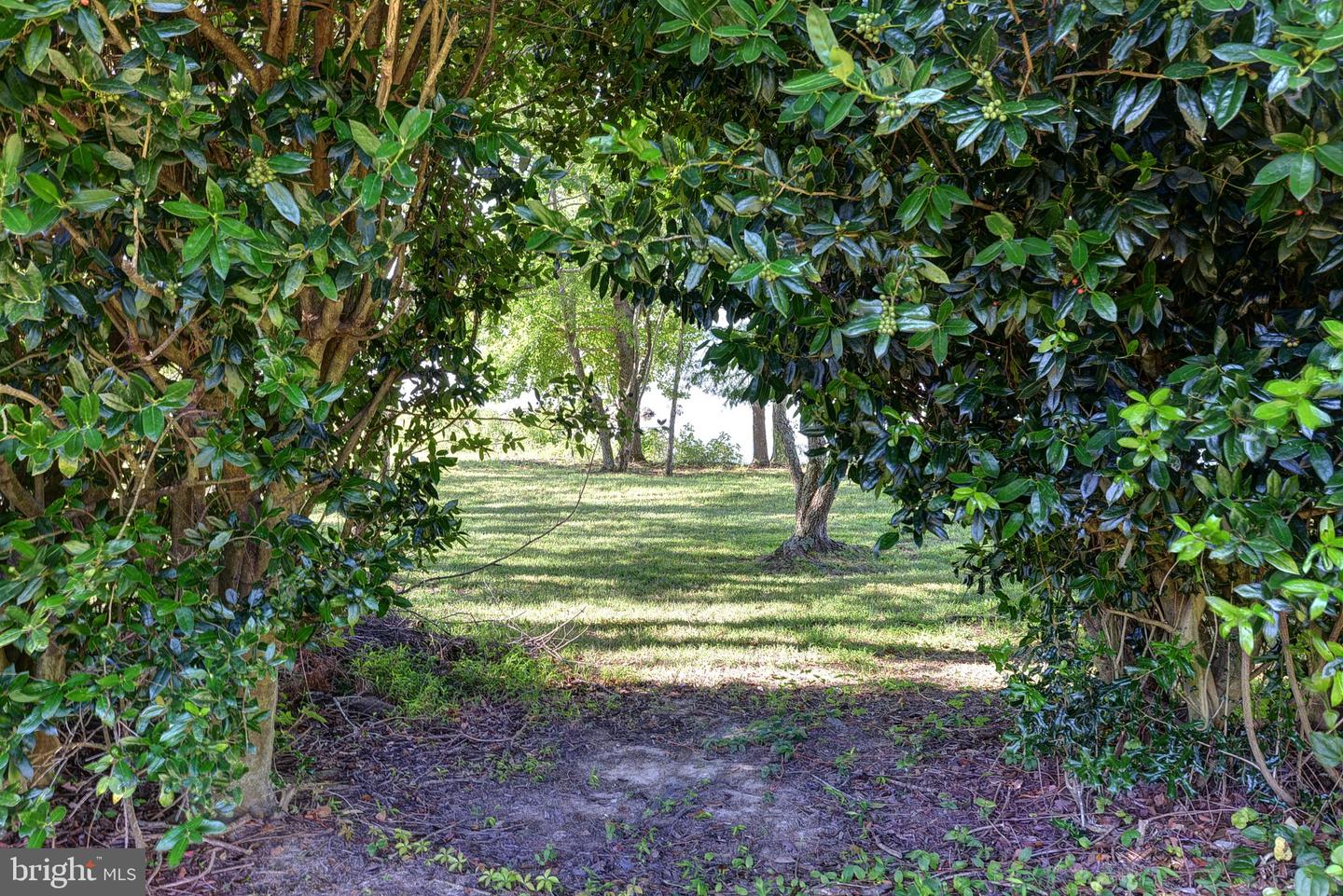 1540 HARBOR RD, WILLIAMSBURG, Virginia 23185, ,Land,For sale,1540 HARBOR RD,VAJC2000564 MLS # VAJC2000564