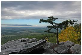 2609 LOOKOUT RD, HAYMARKET, Virginia 20169, ,Land,For sale,2609 LOOKOUT RD,VAPW2106468 MLS # VAPW2106468 2609 LOOKOUT RD, HAYMARKET, Virginia 20169, ,Land,For sale,2609 LOOKOUT RD,VAPW2106468 MLS # VAPW2106468