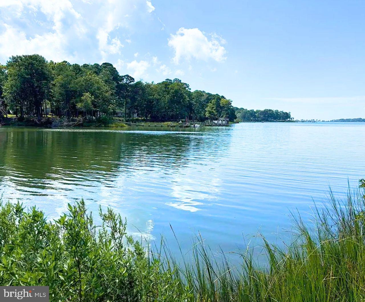 00 WHITE TAIL LN, MACHIPONGO, Virginia 23405, ,Land,For sale,00 WHITE TAIL LN,VANH2000072 MLS # VANH2000072 00 WHITE TAIL LN, MACHIPONGO, Virginia 23405, ,Land,For sale,00 WHITE TAIL LN,VANH2000072 MLS # VANH2000072