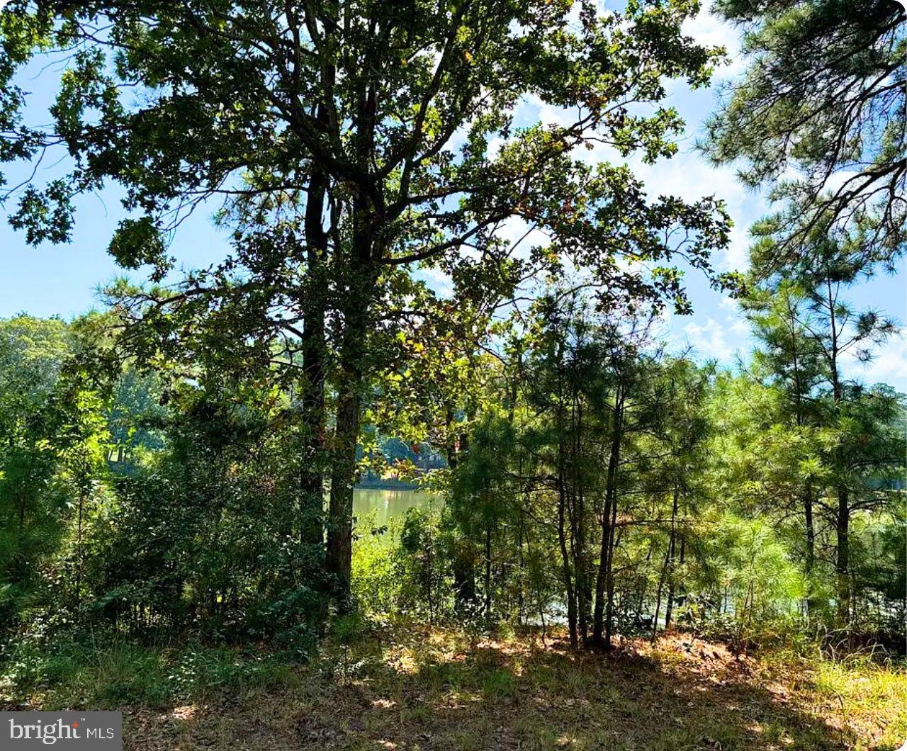 00 WHITE TAIL LN, MACHIPONGO, Virginia 23405, ,Land,For sale,00 WHITE TAIL LN,VANH2000072 MLS # VANH2000072 00 WHITE TAIL LN, MACHIPONGO, Virginia 23405, ,Land,For sale,00 WHITE TAIL LN,VANH2000072 MLS # VANH2000072