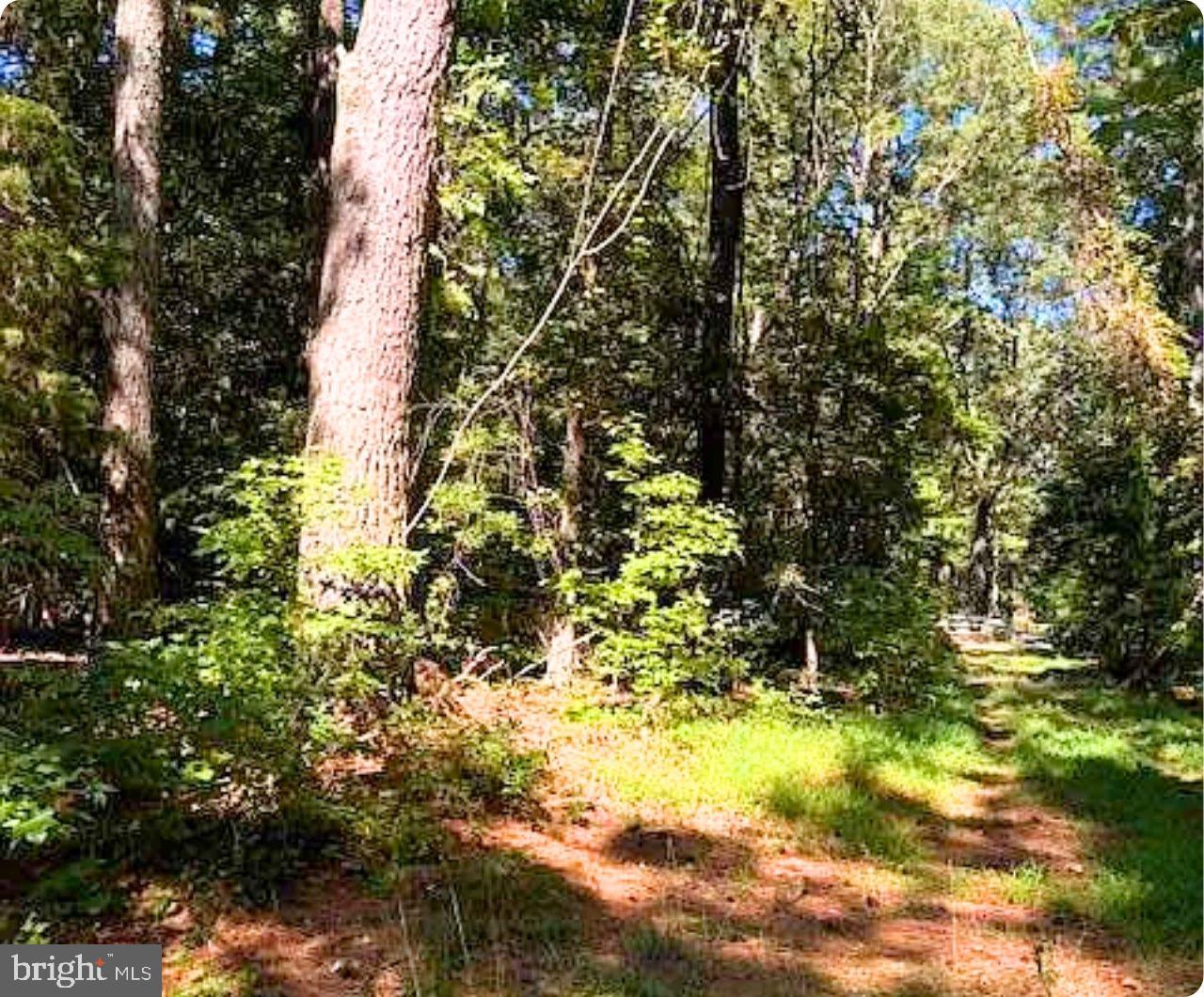 00 WHITE TAIL LN, MACHIPONGO, Virginia 23405, ,Land,For sale,00 WHITE TAIL LN,VANH2000072 MLS # VANH2000072 00 WHITE TAIL LN, MACHIPONGO, Virginia 23405, ,Land,For sale,00 WHITE TAIL LN,VANH2000072 MLS # VANH2000072