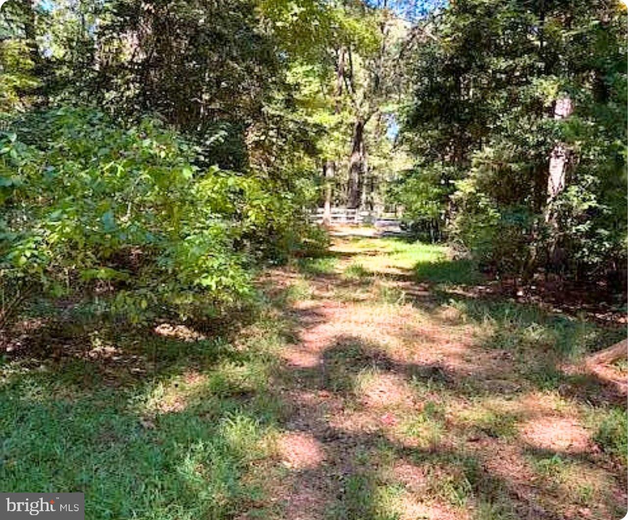 00 WHITE TAIL LN, MACHIPONGO, Virginia 23405, ,Land,For sale,00 WHITE TAIL LN,VANH2000072 MLS # VANH2000072 00 WHITE TAIL LN, MACHIPONGO, Virginia 23405, ,Land,For sale,00 WHITE TAIL LN,VANH2000072 MLS # VANH2000072
