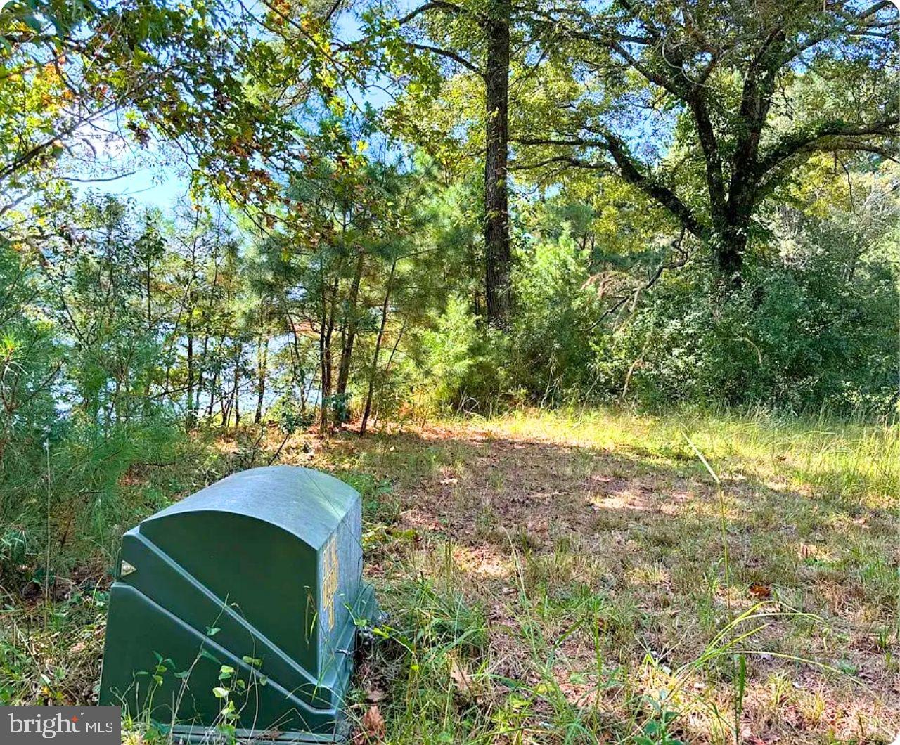 00 WHITE TAIL LN, MACHIPONGO, Virginia 23405, ,Land,For sale,00 WHITE TAIL LN,VANH2000072 MLS # VANH2000072 00 WHITE TAIL LN, MACHIPONGO, Virginia 23405, ,Land,For sale,00 WHITE TAIL LN,VANH2000072 MLS # VANH2000072