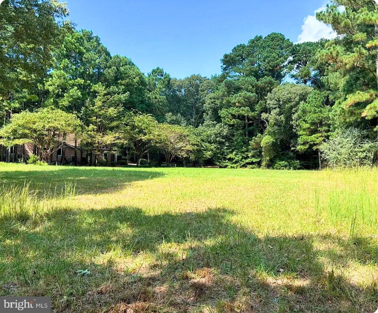00 WHITE TAIL LN, MACHIPONGO, Virginia 23405, ,Land,For sale,00 WHITE TAIL LN,VANH2000072 MLS # VANH2000072 00 WHITE TAIL LN, MACHIPONGO, Virginia 23405, ,Land,For sale,00 WHITE TAIL LN,VANH2000072 MLS # VANH2000072