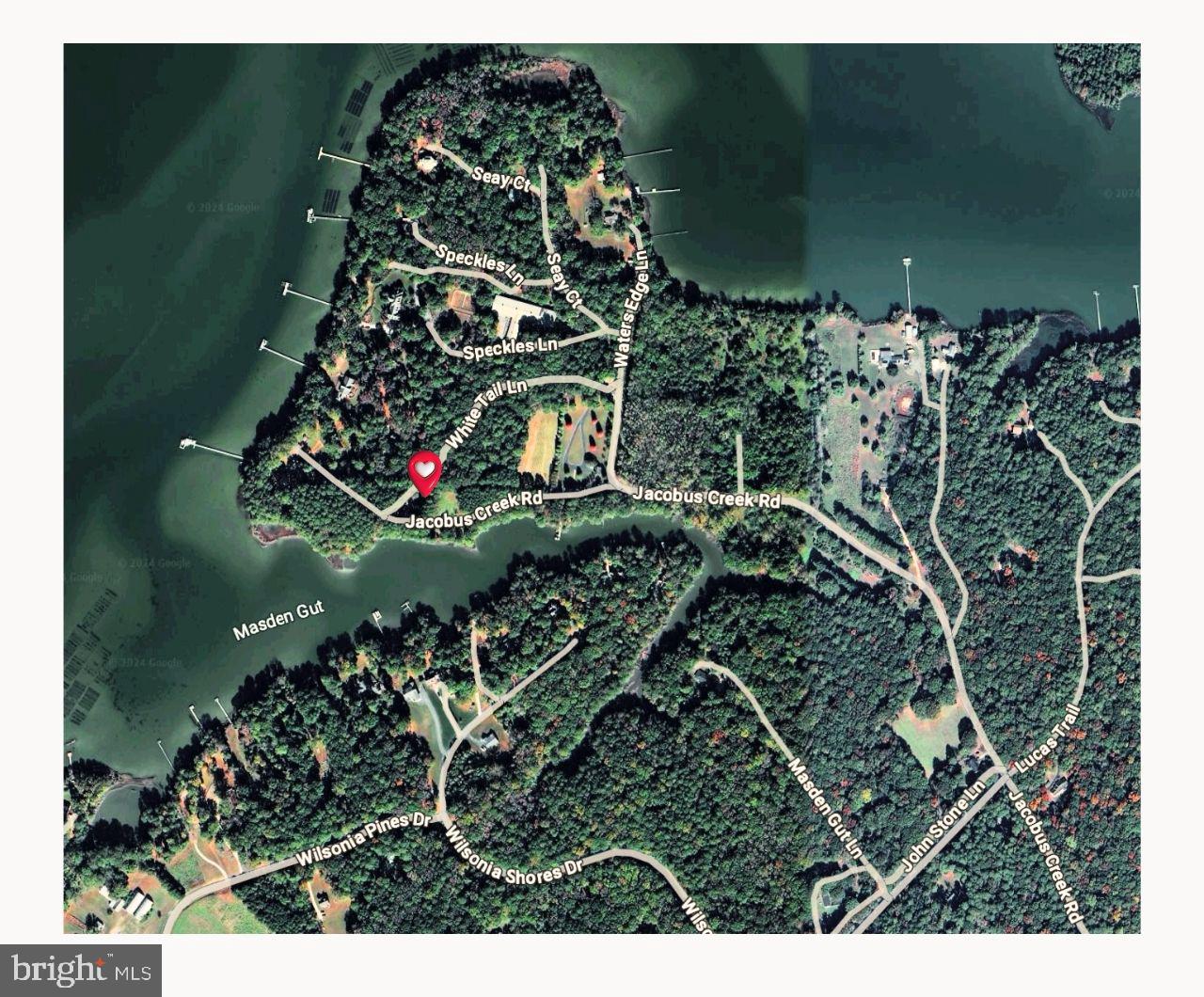 00 WHITE TAIL LN, MACHIPONGO, Virginia 23405, ,Land,For sale,00 WHITE TAIL LN,VANH2000072 MLS # VANH2000072 00 WHITE TAIL LN, MACHIPONGO, Virginia 23405, ,Land,For sale,00 WHITE TAIL LN,VANH2000072 MLS # VANH2000072