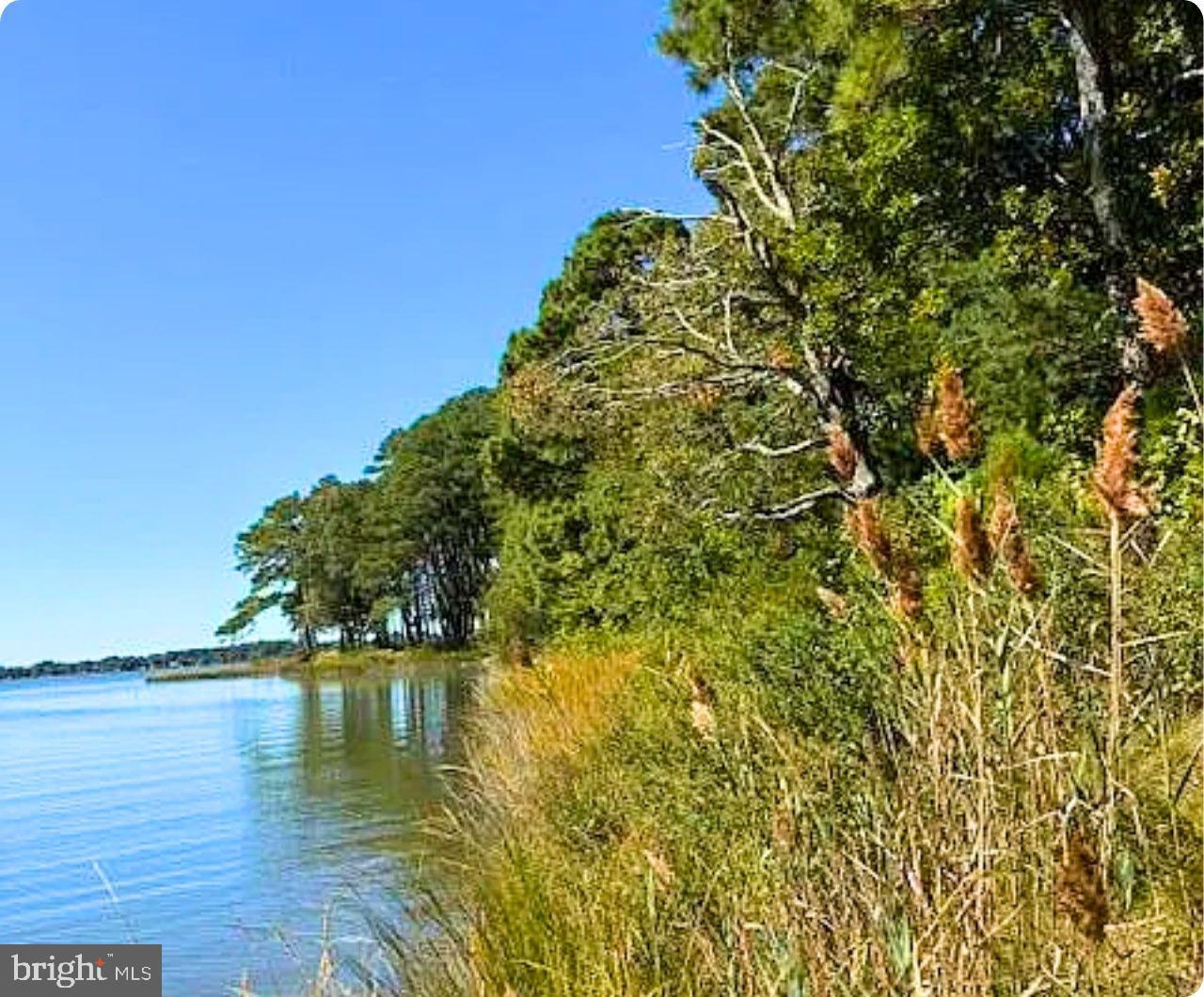 00 WHITE TAIL LN, MACHIPONGO, Virginia 23405, ,Land,For sale,00 WHITE TAIL LN,VANH2000072 MLS # VANH2000072 00 WHITE TAIL LN, MACHIPONGO, Virginia 23405, ,Land,For sale,00 WHITE TAIL LN,VANH2000072 MLS # VANH2000072