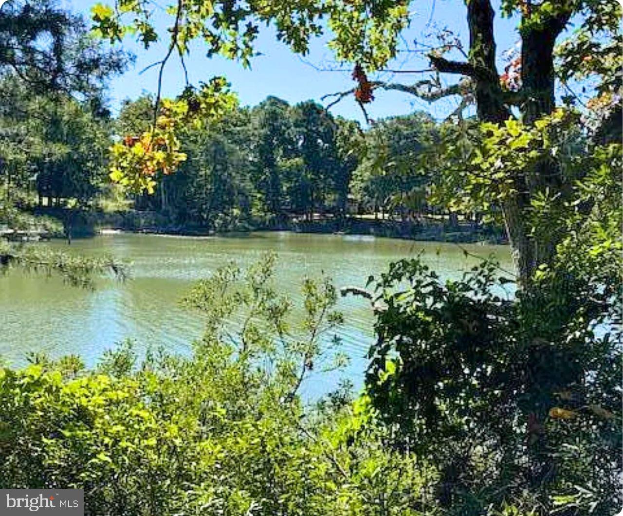 00 WHITE TAIL LN, MACHIPONGO, Virginia 23405, ,Land,For sale,00 WHITE TAIL LN,VANH2000072 MLS # VANH2000072 00 WHITE TAIL LN, MACHIPONGO, Virginia 23405, ,Land,For sale,00 WHITE TAIL LN,VANH2000072 MLS # VANH2000072