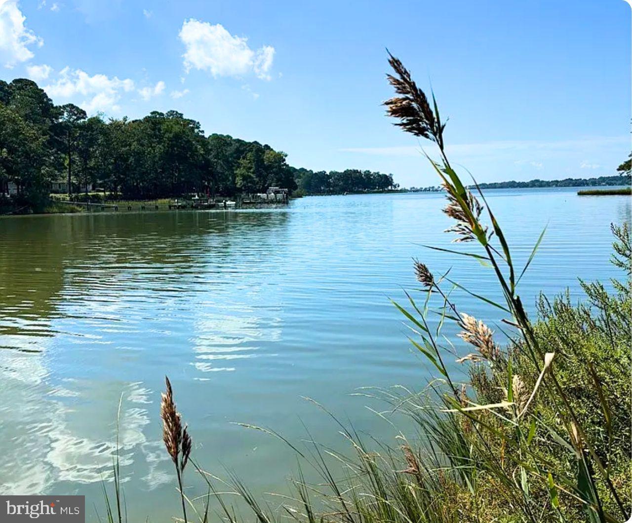 00 WHITE TAIL LN, MACHIPONGO, Virginia 23405, ,Land,For sale,00 WHITE TAIL LN,VANH2000072 MLS # VANH2000072 00 WHITE TAIL LN, MACHIPONGO, Virginia 23405, ,Land,For sale,00 WHITE TAIL LN,VANH2000072 MLS # VANH2000072