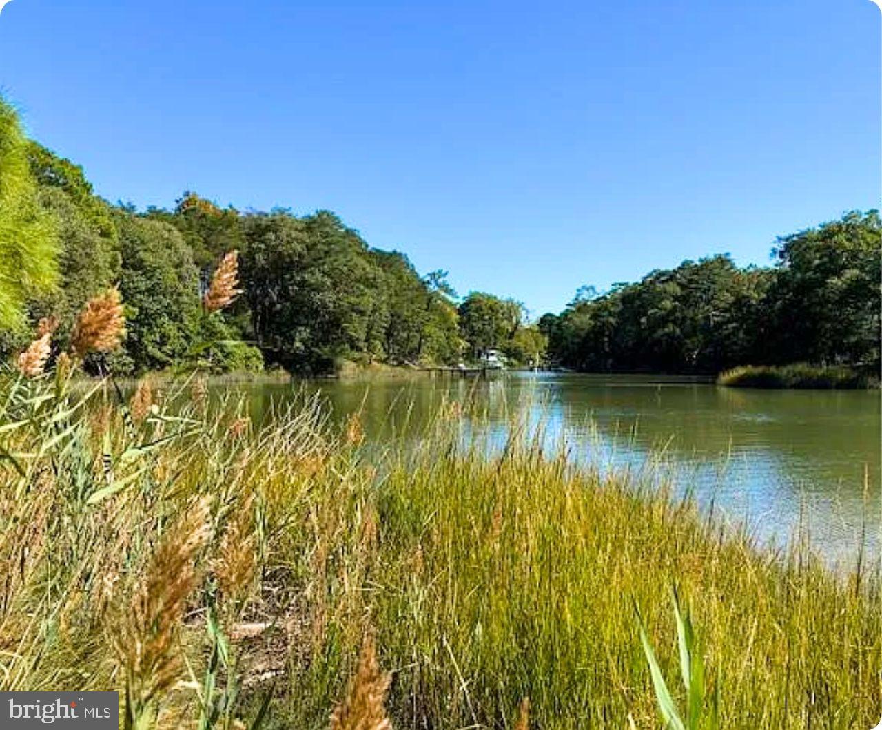 00 WHITE TAIL LN, MACHIPONGO, Virginia 23405, ,Land,For sale,00 WHITE TAIL LN,VANH2000072 MLS # VANH2000072 00 WHITE TAIL LN, MACHIPONGO, Virginia 23405, ,Land,For sale,00 WHITE TAIL LN,VANH2000072 MLS # VANH2000072
