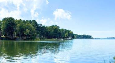 00 WHITE TAIL LN, MACHIPONGO, Virginia 23405, ,Land,For sale,00 WHITE TAIL LN,VANH2000072 MLS # VANH2000072