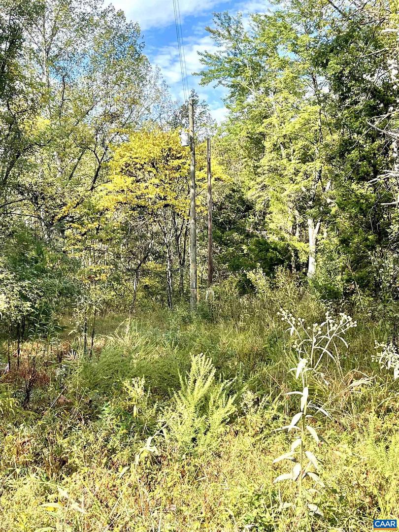 0 RIVERDALE RD, STANARDSVILLE, Virginia 22973, ,Land,For sale,0 RIVERDALE RD,670283 MLS # 670283