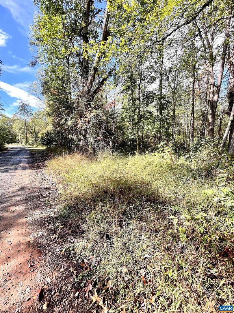 0 RIVERDALE RD, STANARDSVILLE, Virginia 22973, ,Land,For sale,0 RIVERDALE RD,670283 MLS # 670283