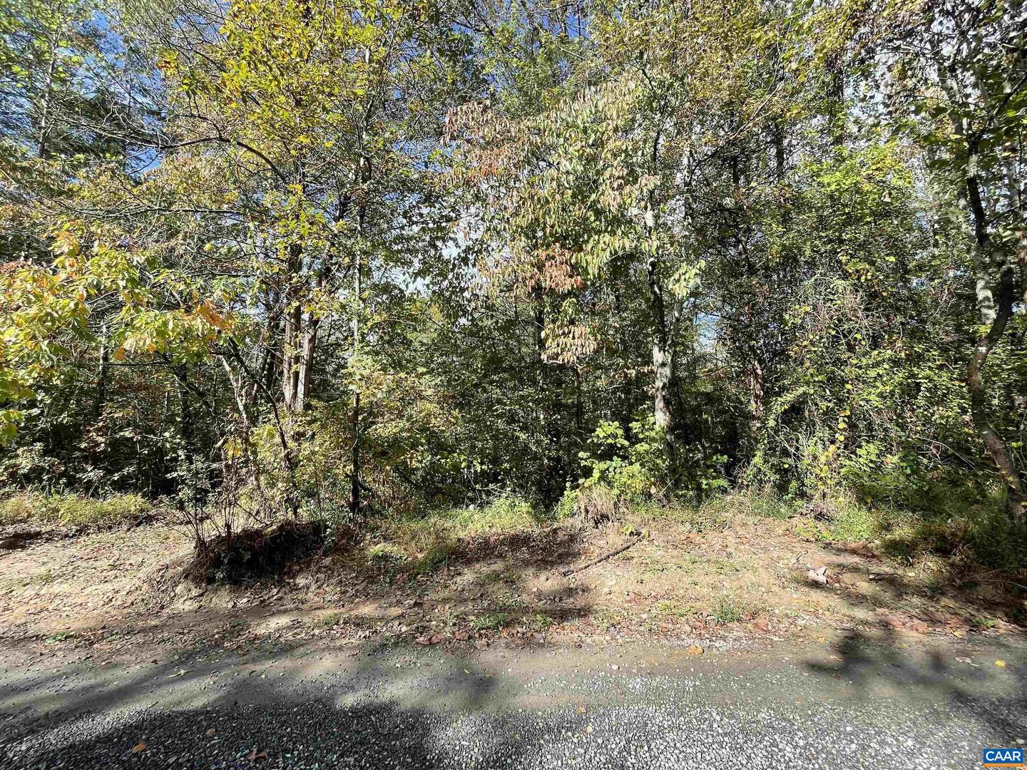 0 RIVERDALE RD, STANARDSVILLE, Virginia 22973, ,Land,For sale,0 RIVERDALE RD,670283 MLS # 670283