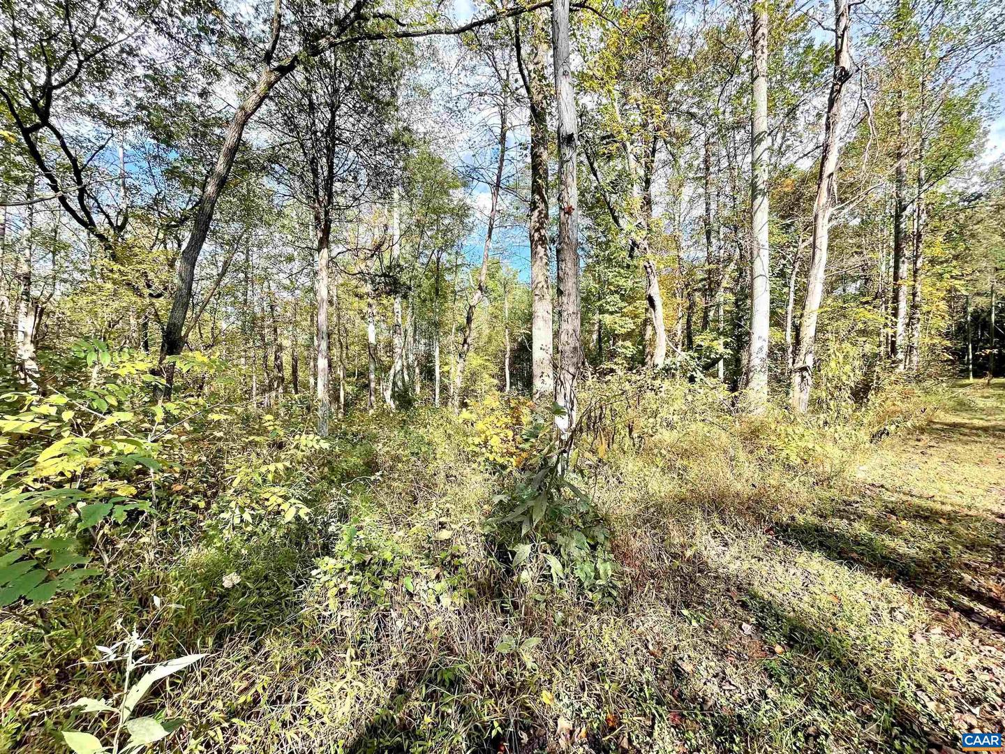 0 RIVERDALE RD, STANARDSVILLE, Virginia 22973, ,Land,For sale,0 RIVERDALE RD,670283 MLS # 670283