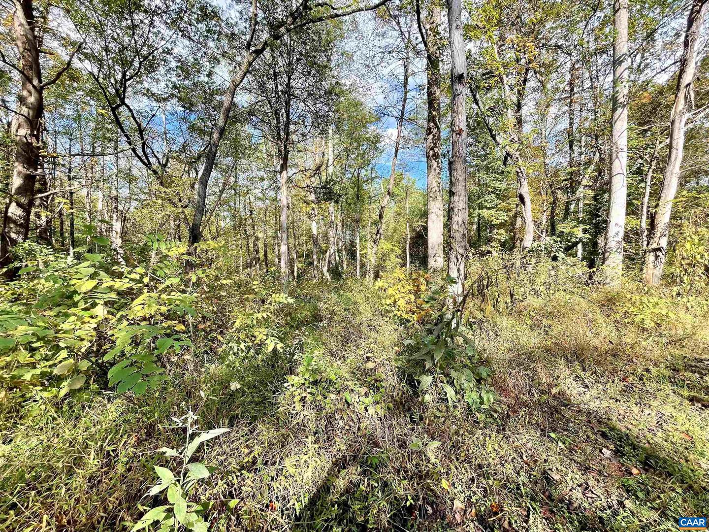 0 RIVERDALE RD, STANARDSVILLE, Virginia 22973, ,Land,For sale,0 RIVERDALE RD,670283 MLS # 670283