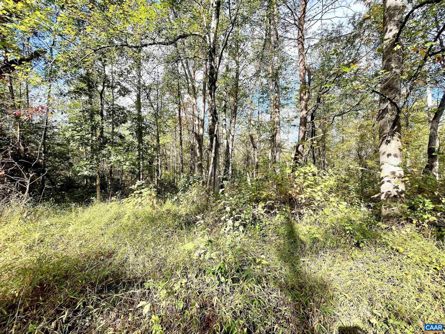 0 RIVERDALE RD, STANARDSVILLE, Virginia 22973, ,Land,For sale,0 RIVERDALE RD,670283 MLS # 670283