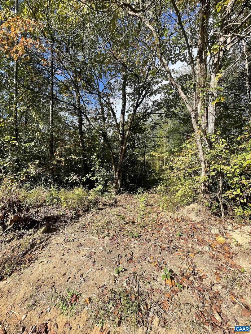 0 RIVERDALE RD, STANARDSVILLE, Virginia 22973, ,Land,For sale,0 RIVERDALE RD,670283 MLS # 670283