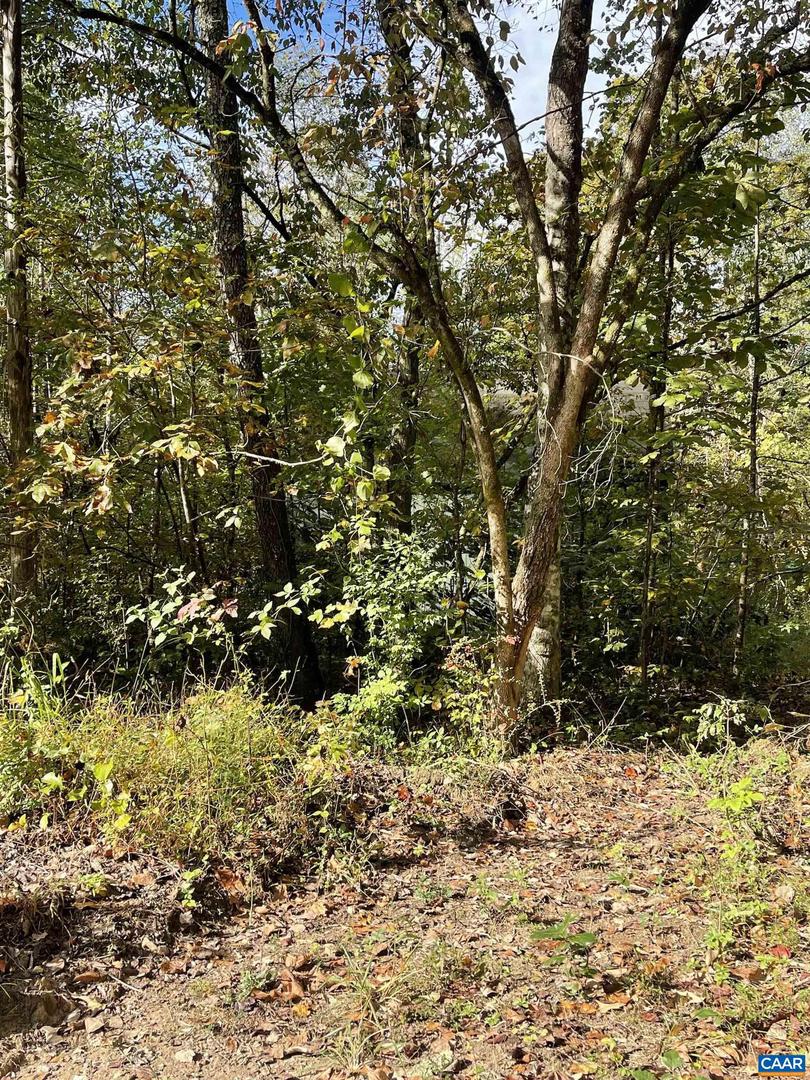 0 RIVERDALE RD, STANARDSVILLE, Virginia 22973, ,Land,For sale,0 RIVERDALE RD,670283 MLS # 670283