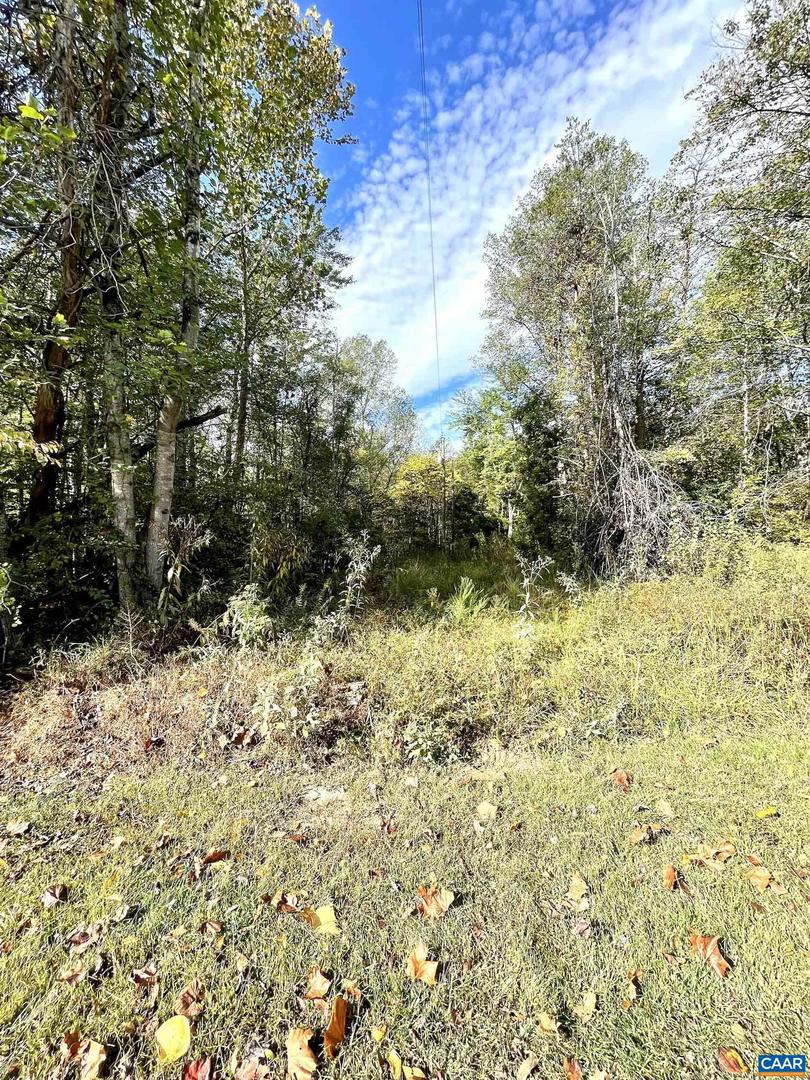 0 RIVERDALE RD, STANARDSVILLE, Virginia 22973, ,Land,For sale,0 RIVERDALE RD,670283 MLS # 670283