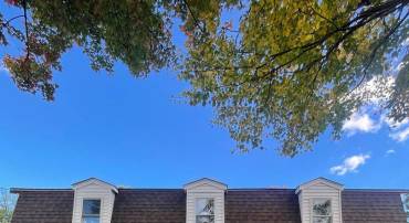 310 MISSOURI AVE, HERNDON, Virginia 20170, 4 Bedrooms Bedrooms, ,2 BathroomsBathrooms,Residential,For sale,310 MISSOURI AVE,VAFX2260686 MLS # VAFX2260686