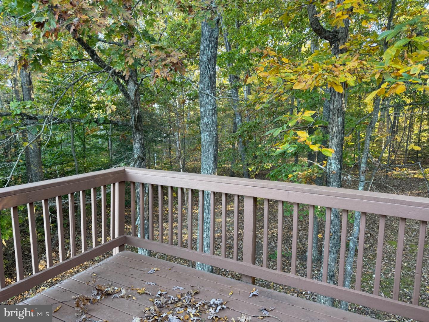8701 ROMONA CT, FREDERICKSBURG, Virginia 22407, 6 Bedrooms Bedrooms, 9 Rooms Rooms,3 BathroomsBathrooms,Residential,For sale,8701 ROMONA CT,VASP2037100 MLS # VASP2037100