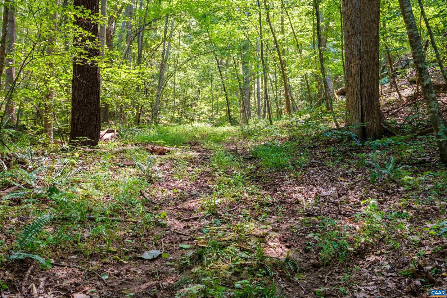 4375 TAYLOR CREEK RD, AFTON, Virginia 22920, 4 Bedrooms Bedrooms, ,3 BathroomsBathrooms,Residential,For sale,4375 TAYLOR CREEK RD,670261 MLS # 670261