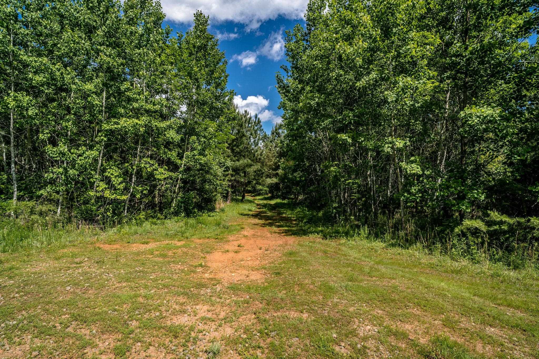 Lot 1 GREEN CREEK RD, SCHUYLER, Virginia 22969, ,Land,Lot 1 GREEN CREEK RD,670286 MLS # 670286 Lot 1 GREEN CREEK RD, SCHUYLER, Virginia 22969, ,Land,Lot 1 GREEN CREEK RD,670286 MLS # 670286