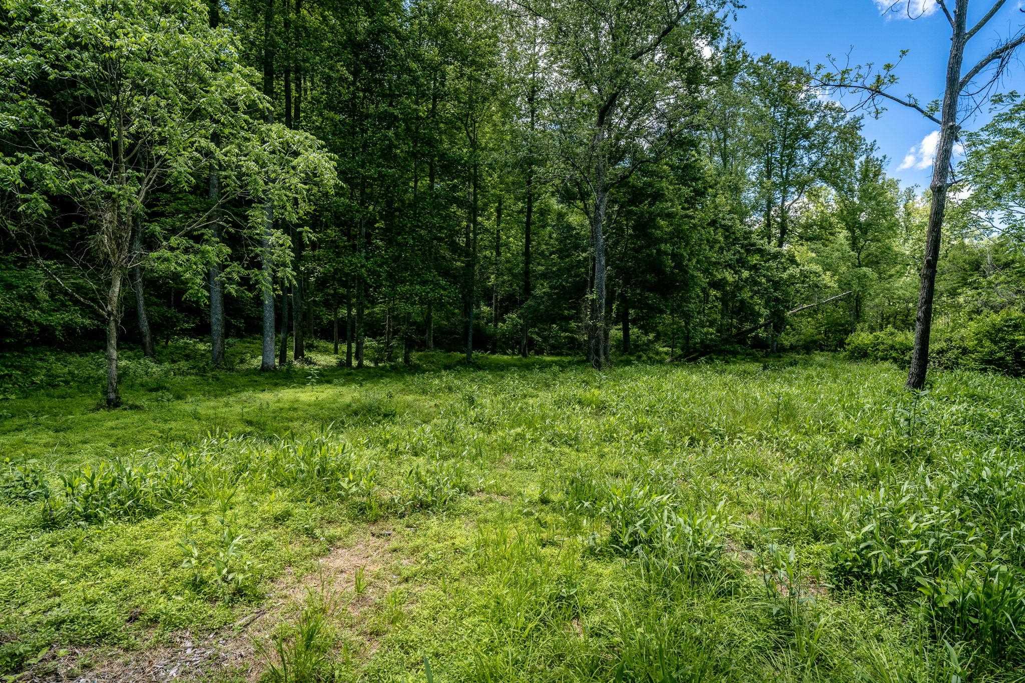 Lot 1 GREEN CREEK RD, SCHUYLER, Virginia 22969, ,Land,Lot 1 GREEN CREEK RD,670286 MLS # 670286 Lot 1 GREEN CREEK RD, SCHUYLER, Virginia 22969, ,Land,Lot 1 GREEN CREEK RD,670286 MLS # 670286