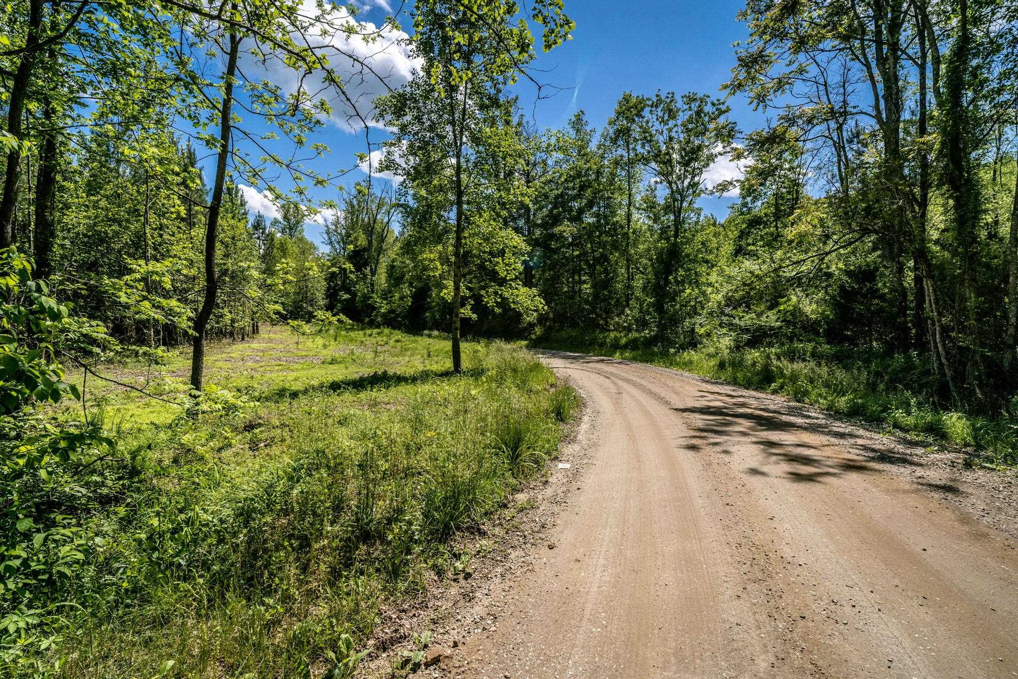 Lot 1 GREEN CREEK RD, SCHUYLER, Virginia 22969, ,Land,Lot 1 GREEN CREEK RD,670286 MLS # 670286 Lot 1 GREEN CREEK RD, SCHUYLER, Virginia 22969, ,Land,Lot 1 GREEN CREEK RD,670286 MLS # 670286
