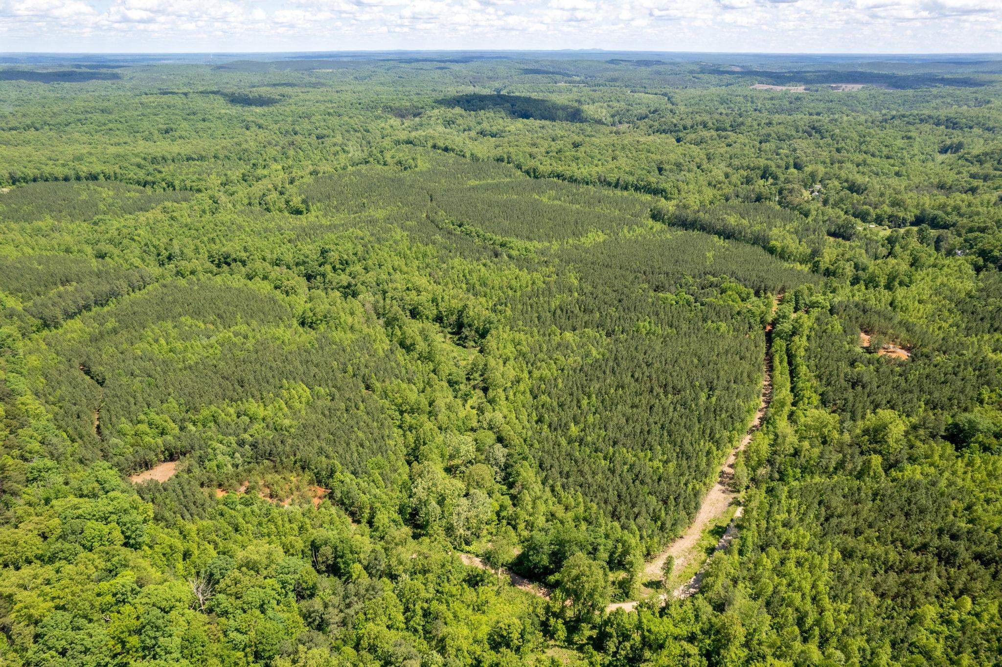 Lot 1 GREEN CREEK RD, SCHUYLER, Virginia 22969, ,Land,Lot 1 GREEN CREEK RD,670286 MLS # 670286 Lot 1 GREEN CREEK RD, SCHUYLER, Virginia 22969, ,Land,Lot 1 GREEN CREEK RD,670286 MLS # 670286
