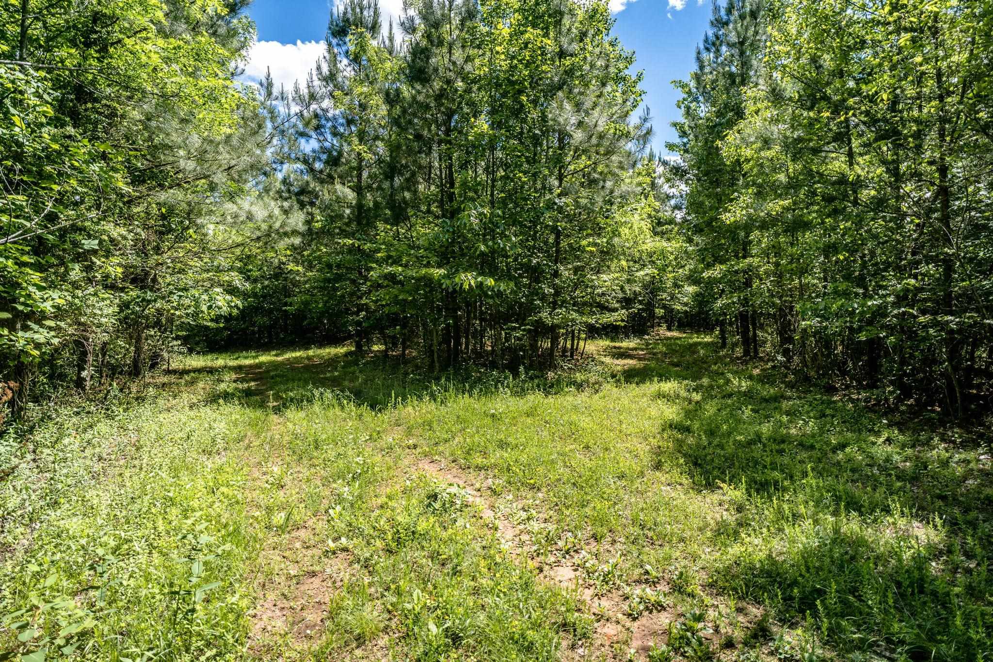 Lot 2 GREEN CREEK RD, SCHUYLER, Virginia 22969, ,Land,Lot 2 GREEN CREEK RD,670288 MLS # 670288