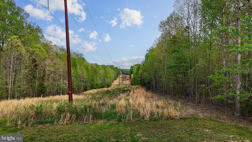 10201 SHAWNEE LN, SPOTSYLVANIA, Virginia 22553, ,Land,For sale,10201 SHAWNEE LN,VASP2037130 MLS # VASP2037130
